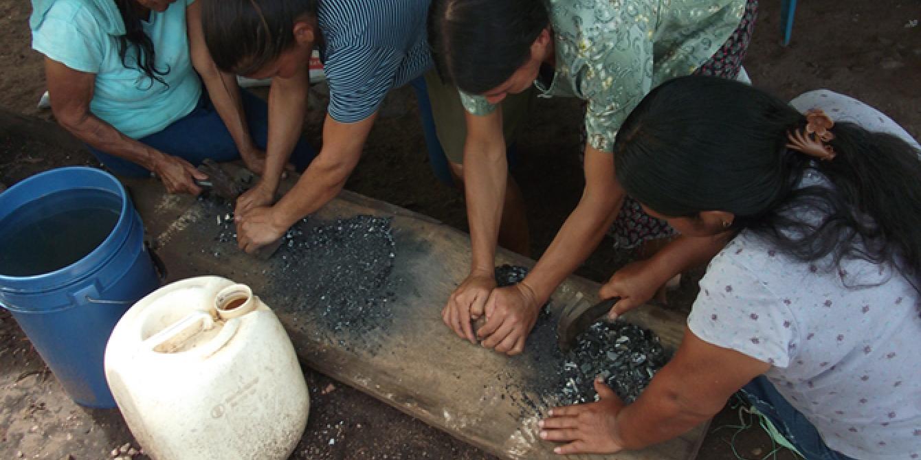 Ecotecnologia: Biofertilizante Grupo de mujeres fortalecen sus técnicas de producción de alimentos libres de fertilizantes químicos utilizando un biofertilizante.